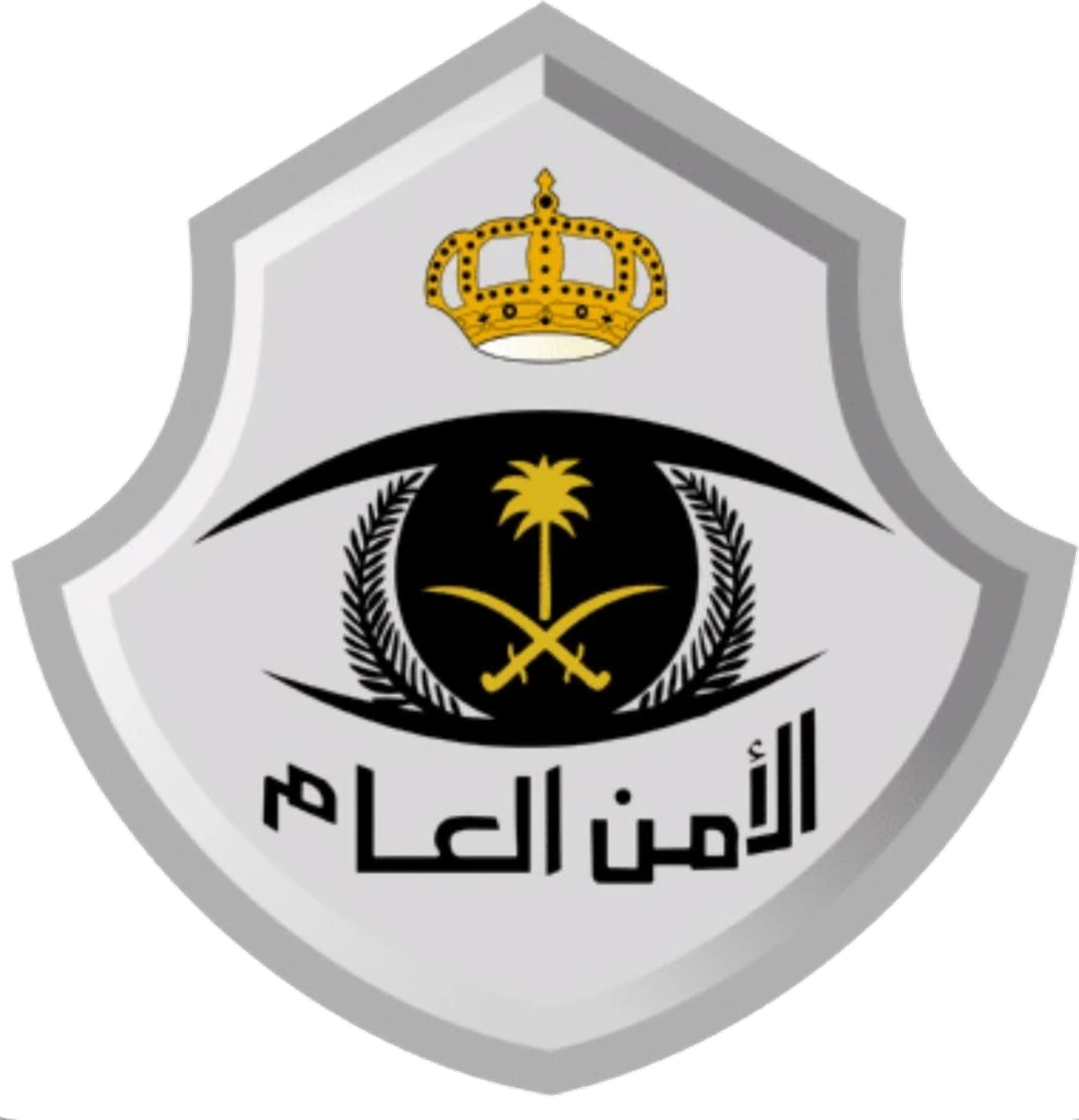الأمن العام