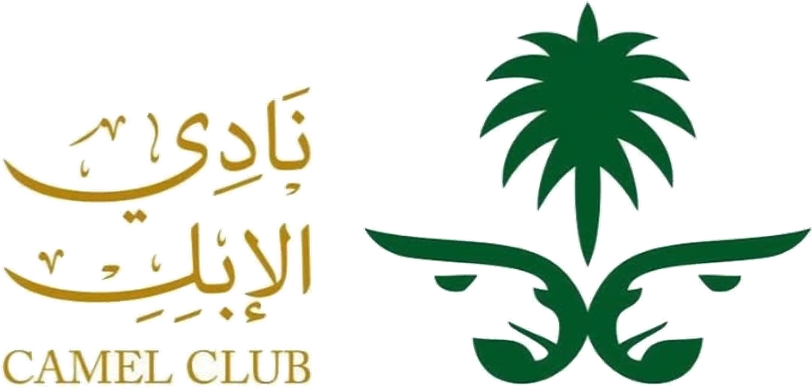 نادي الإبل